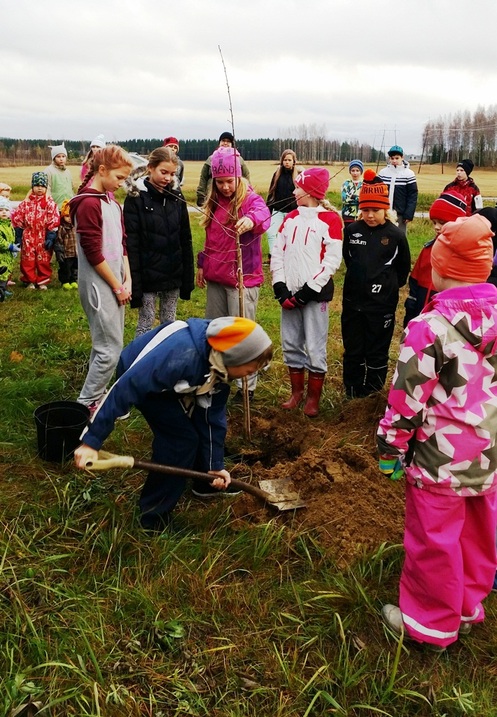 Vuolenkosken koululaiset kyläpuun istutuspuuhissa lokakuussa 2014
